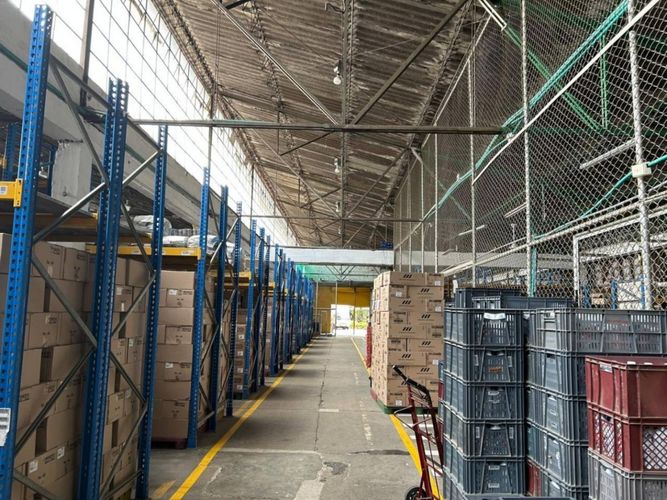 Bodega en venta en La Colina, Medellín, 4847 m² · foto 14 de 22