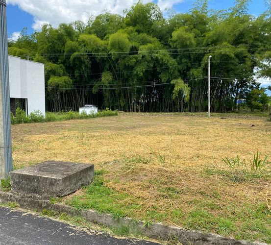 Lote en venta en Vía El Caimo, Armenia, 714 m² · foto 2 de 5