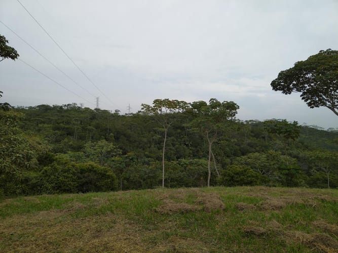 Lote en venta en Pance, Cali · foto 2 de 8