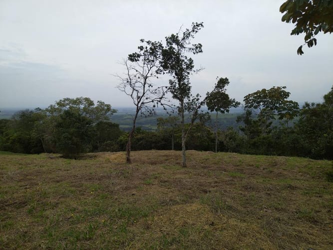 Lote en venta en Pance, Cali · foto 3 de 8
