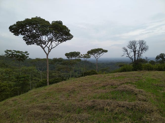 Lote en venta en Pance, Cali · foto 4 de 8