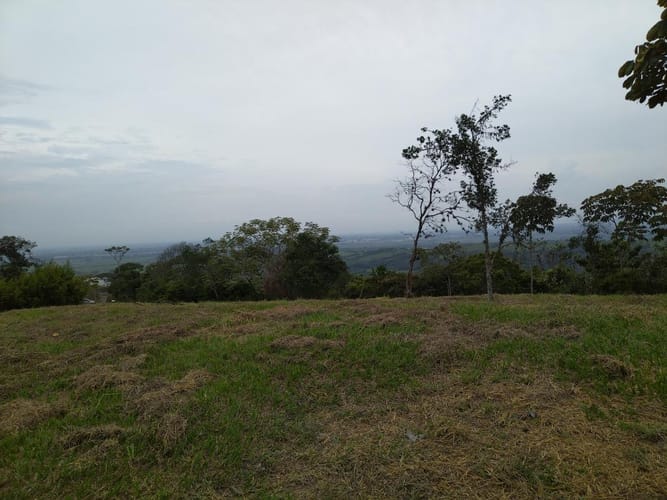 Lote en venta en Pance, Cali · foto 5 de 8