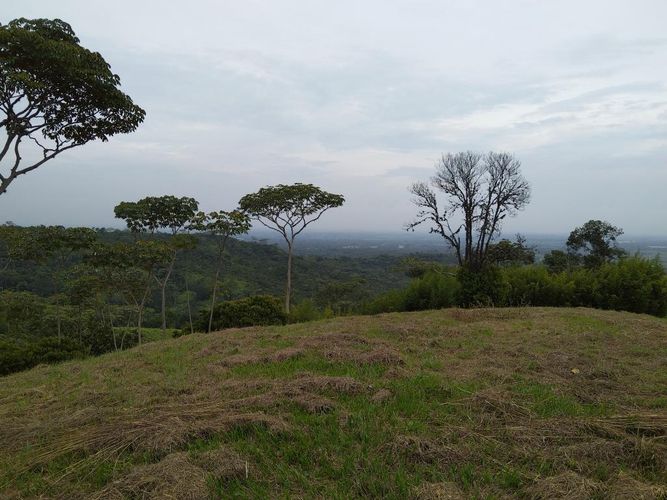 Lote en venta en Pance, Cali · foto 6 de 8