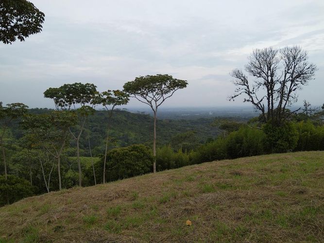 Lote en venta en Pance, Cali · foto 7 de 8