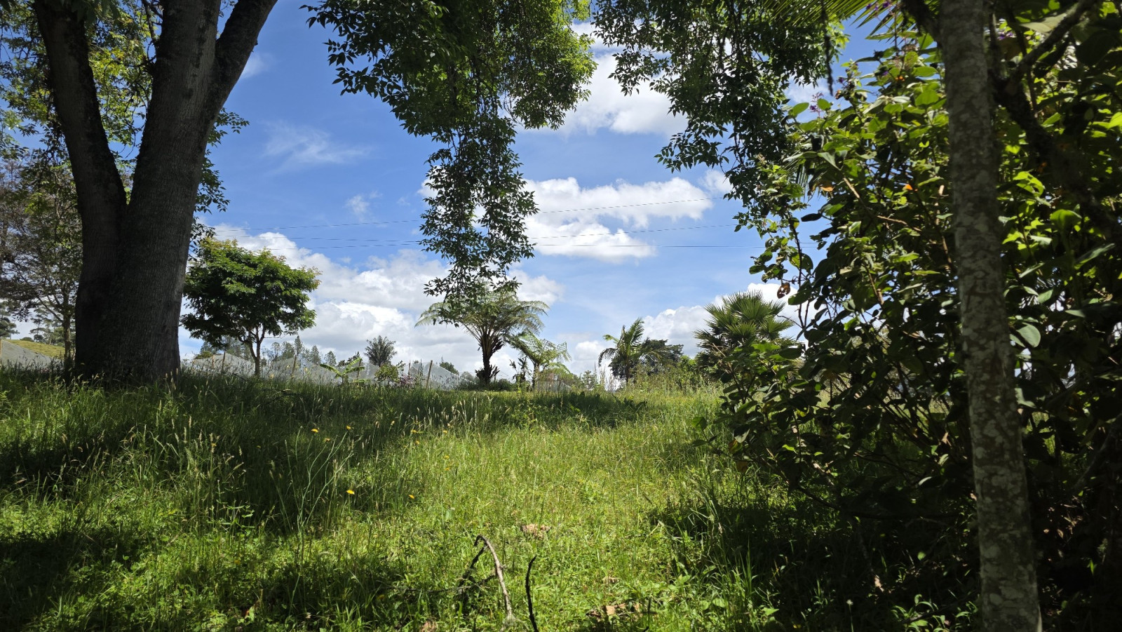 Land in Pantanillo for Sale
