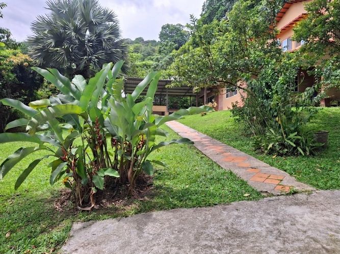 Casa de 4 alcobas en venta en Casiano, Floridablanca, 1225 m² · foto 2 de 16