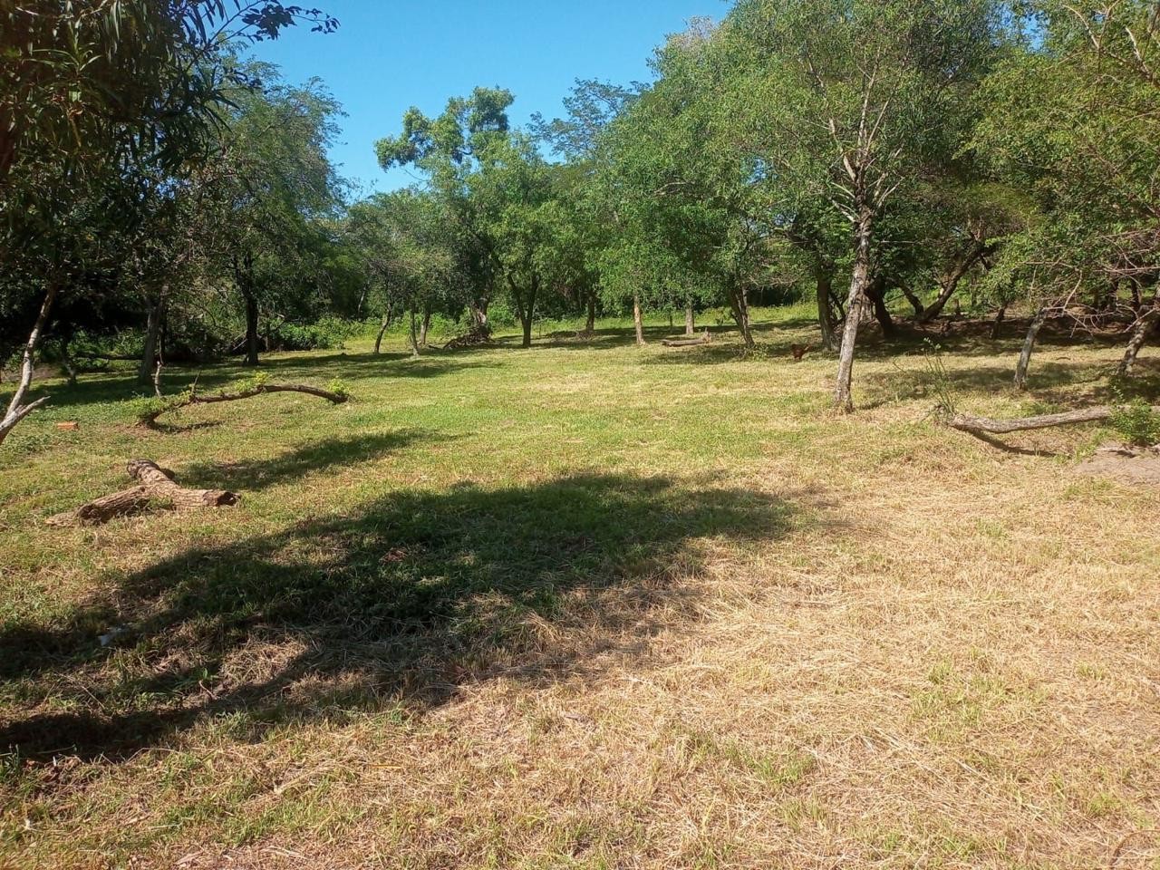 Terreno en venta en San Bernardino — foto 2