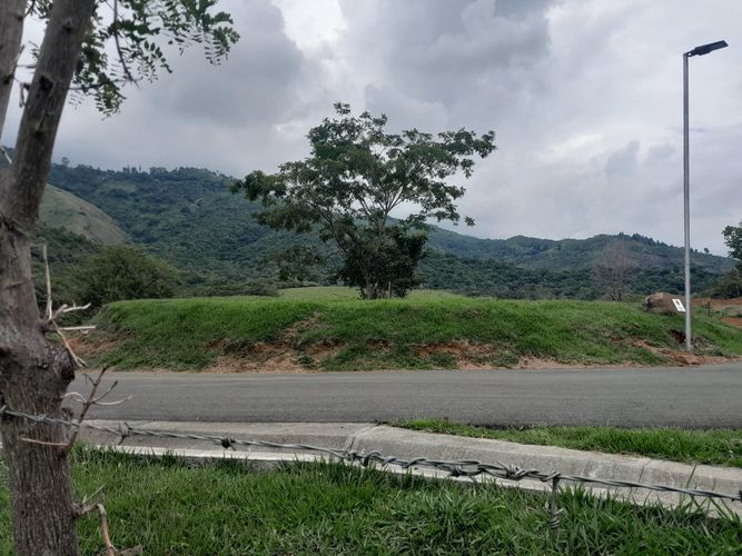 Lote en venta en Tablones, Palmira, 3000 m² · foto 5 de 12