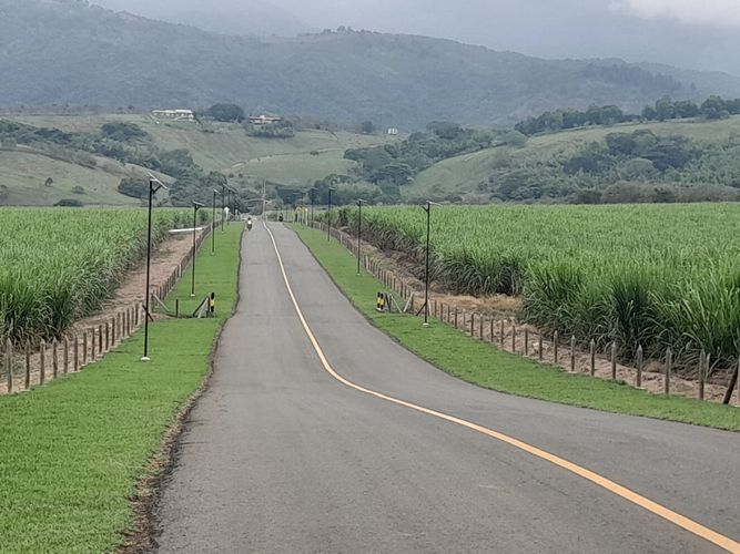 Lote en venta en Tablones, Palmira, 3000 m² · foto 7 de 12