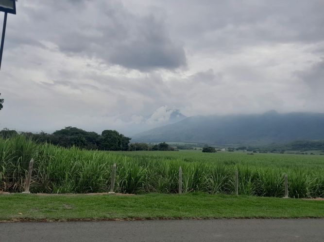 Lote en venta en Tablones, Palmira, 3000 m² · foto 9 de 12