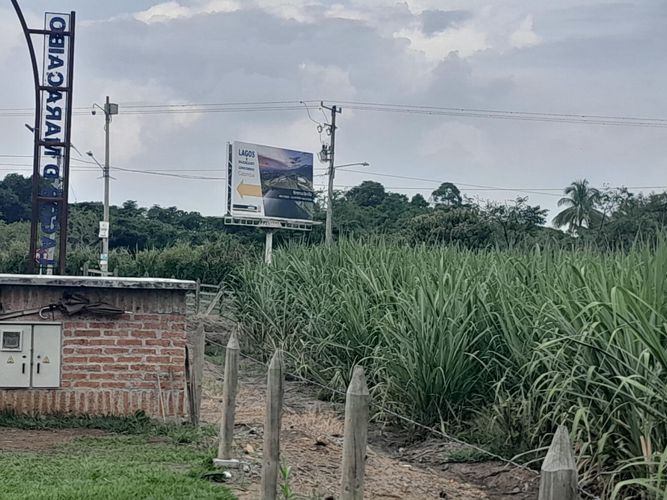Lote en venta en Tablones, Palmira, 3000 m² · foto 10 de 12