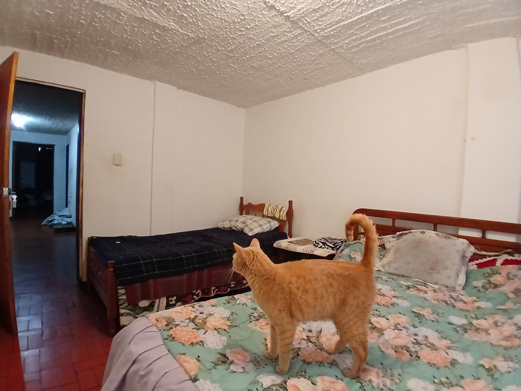 Casa en venta en Villa Maria, Bogotá · foto 10 de 23