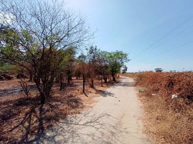 Lote en venta en Pozos Colorados, Santa Marta, 14387 m² · foto 15 de 24