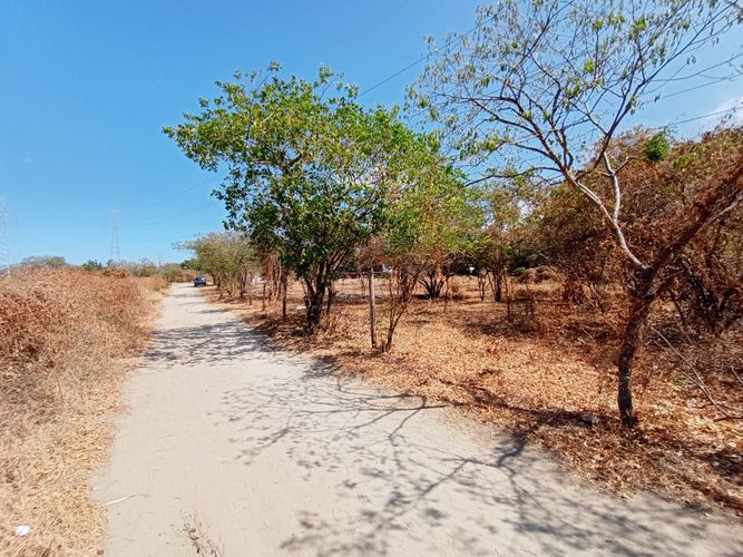 Lote en venta en Pozos Colorados, Santa Marta, 14387 m² · foto 17 de 24