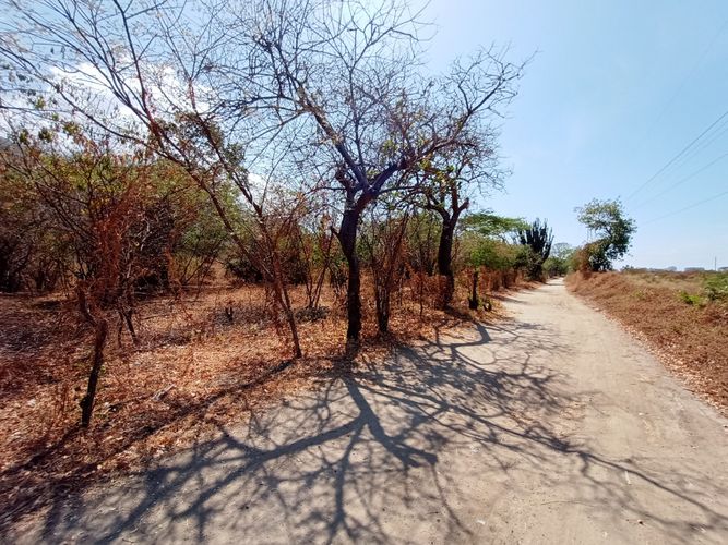 Lote en venta en Pozos Colorados, Santa Marta, 14387 m² · foto 19 de 24