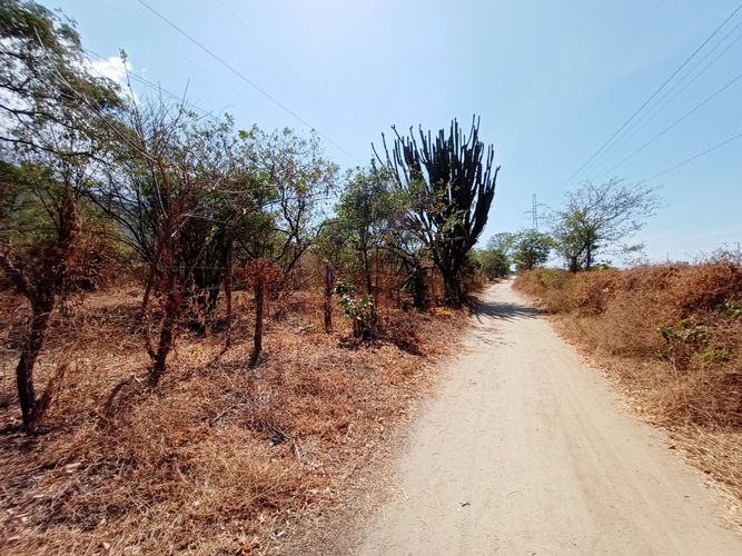 Lote en venta en Pozos Colorados, Santa Marta, 14387 m² · foto 20 de 24