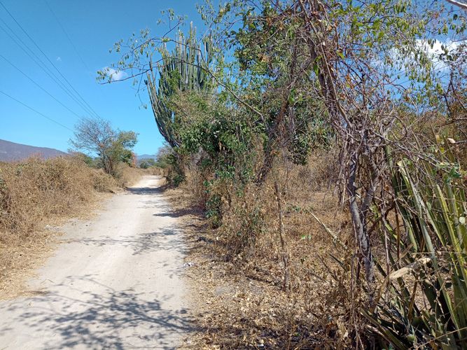 Lote en venta en Pozos Colorados, Santa Marta, 14387 m² · foto 22 de 24
