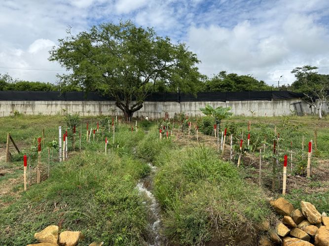Lote en venta en La Riverita, Cali, 800 m² · foto 12 de 17