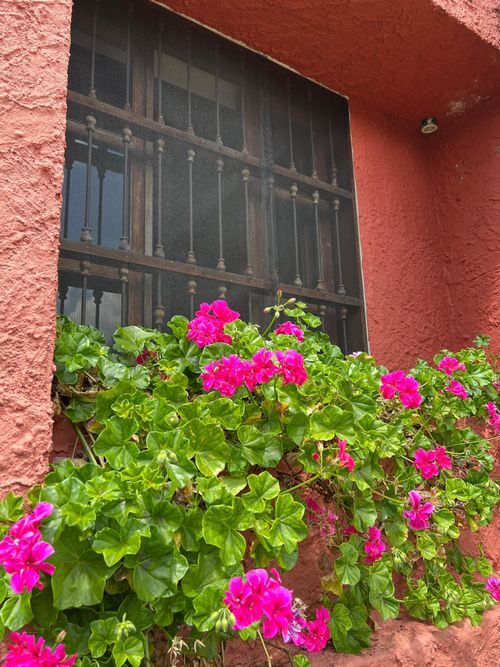 Casa de 4 alcobas en venta en El Carmen, Cali, 290 m² · foto 14 de 18