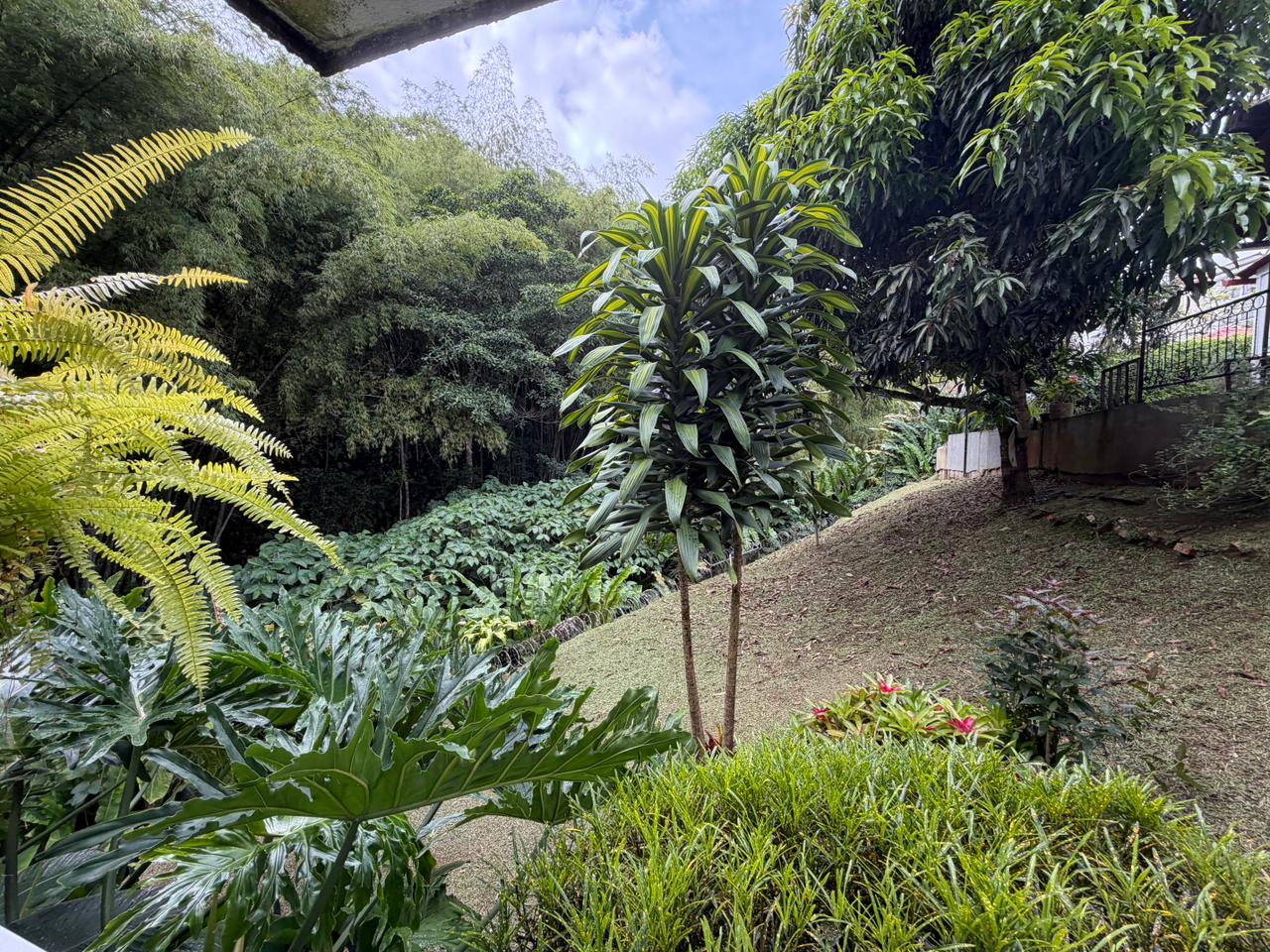Casa en venta en Avenida Sur, Pereira · foto 10 de 24