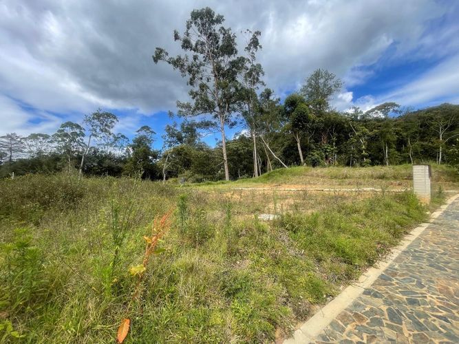 Lote en venta en Llano Grande, Rionegro, 1500 m² · foto 6 de 7