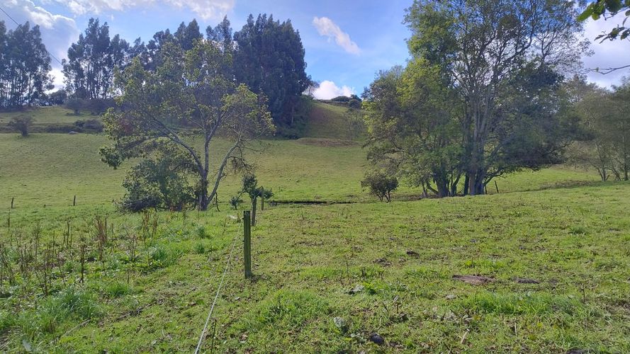 Finca en venta en San Isidro, Zipaquirá, 30 m² · foto 2 de 8