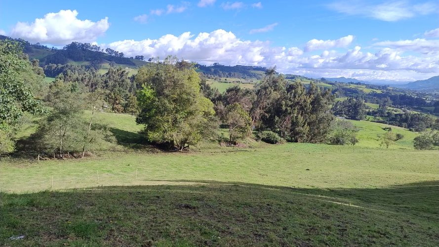 Finca en venta en San Isidro, Zipaquirá, 30 m² · foto 3 de 8