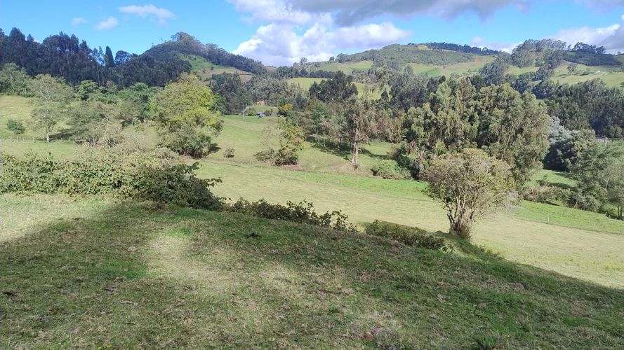 Finca en venta en San Isidro, Zipaquirá, 30 m² · foto 4 de 8