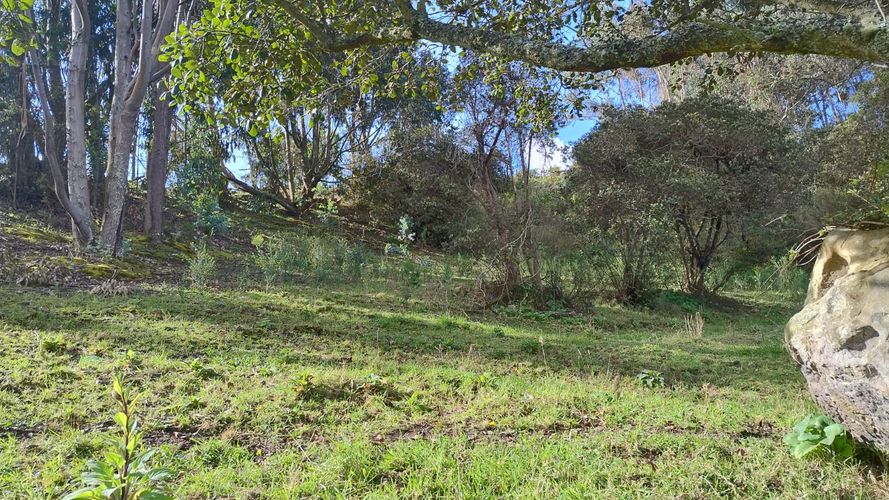 Finca en venta en San Isidro, Zipaquirá, 30 m² · foto 5 de 8