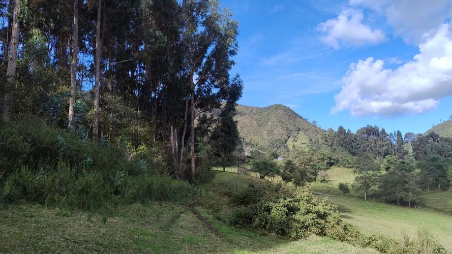 Finca en venta en San Isidro, Zipaquirá, 30 m² · foto 6 de 8