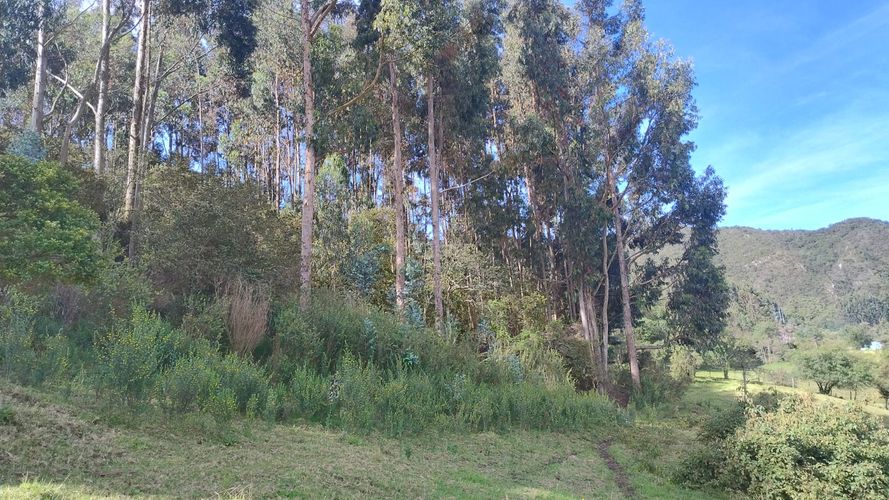 Finca en venta en San Isidro, Zipaquirá, 30 m² · foto 7 de 8