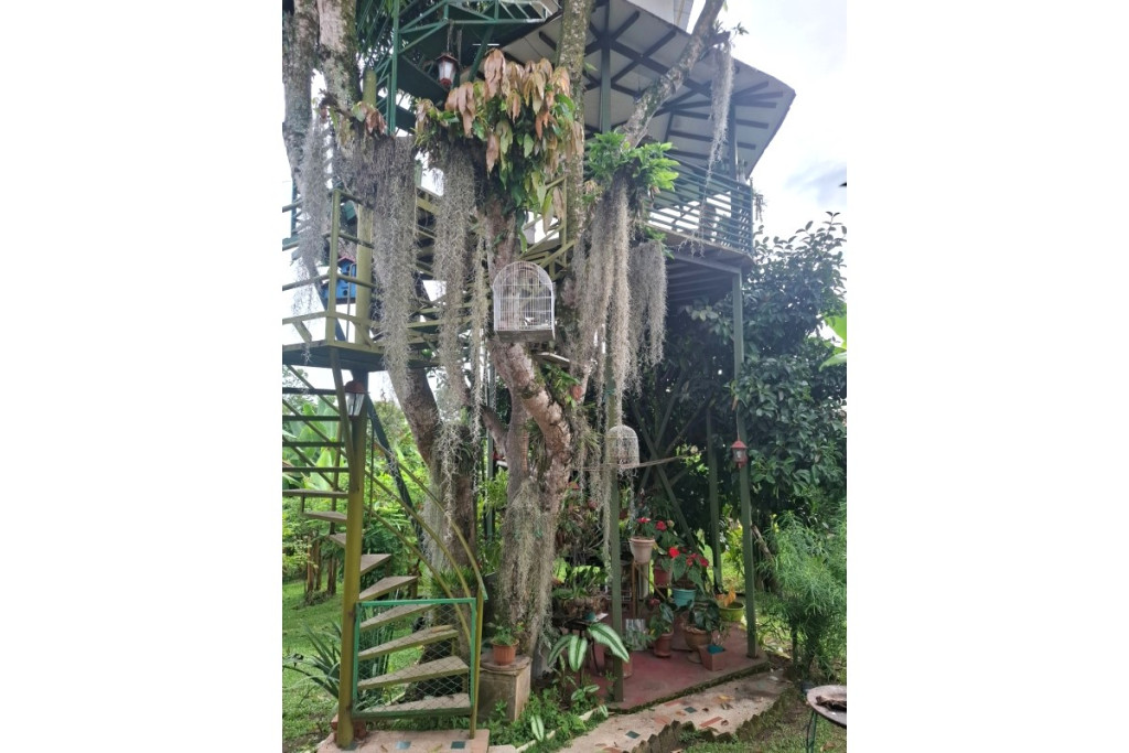 Casa en venta en Pereira, Pereira · foto 10 de 14