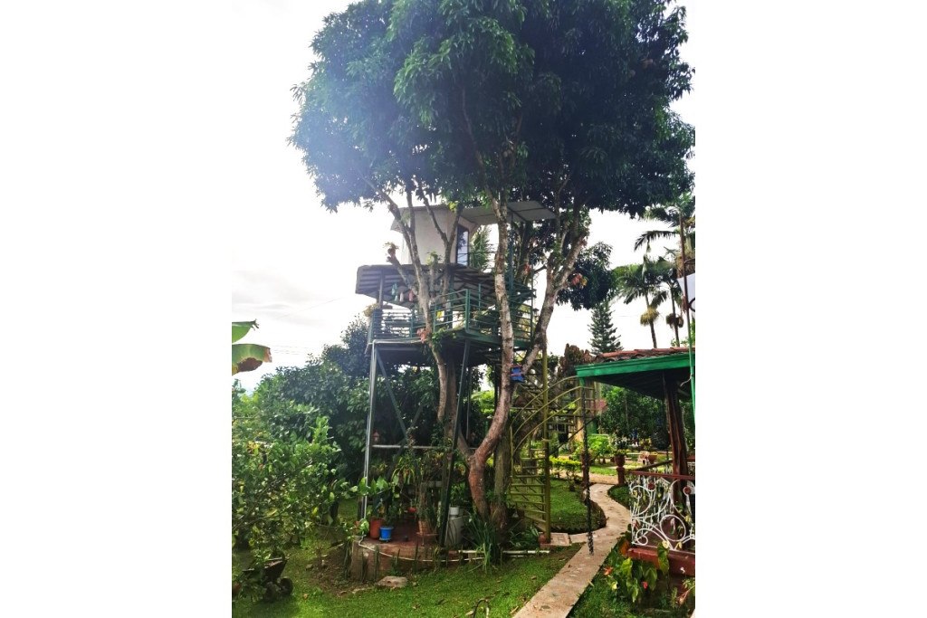 Casa en venta en Pereira, Pereira · foto 11 de 14