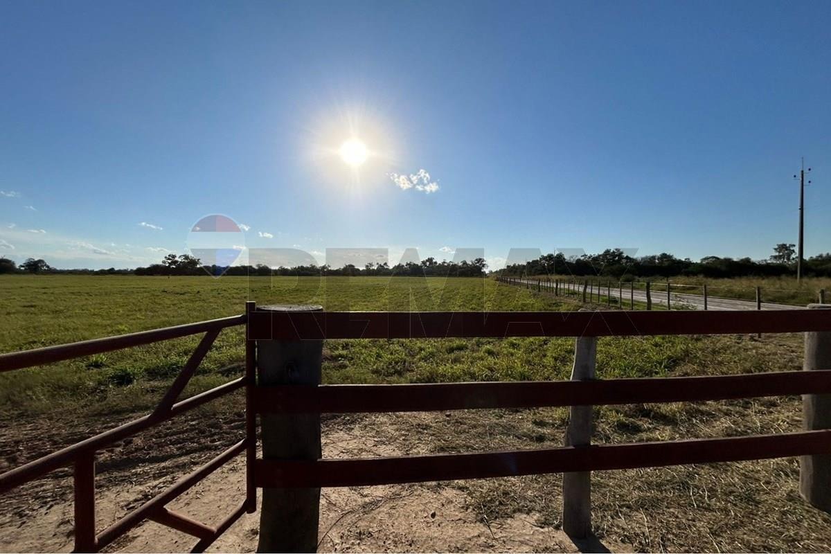 TERRENO DE 57.500 M2 EN FILADELFIA EN VENTA — foto 3
