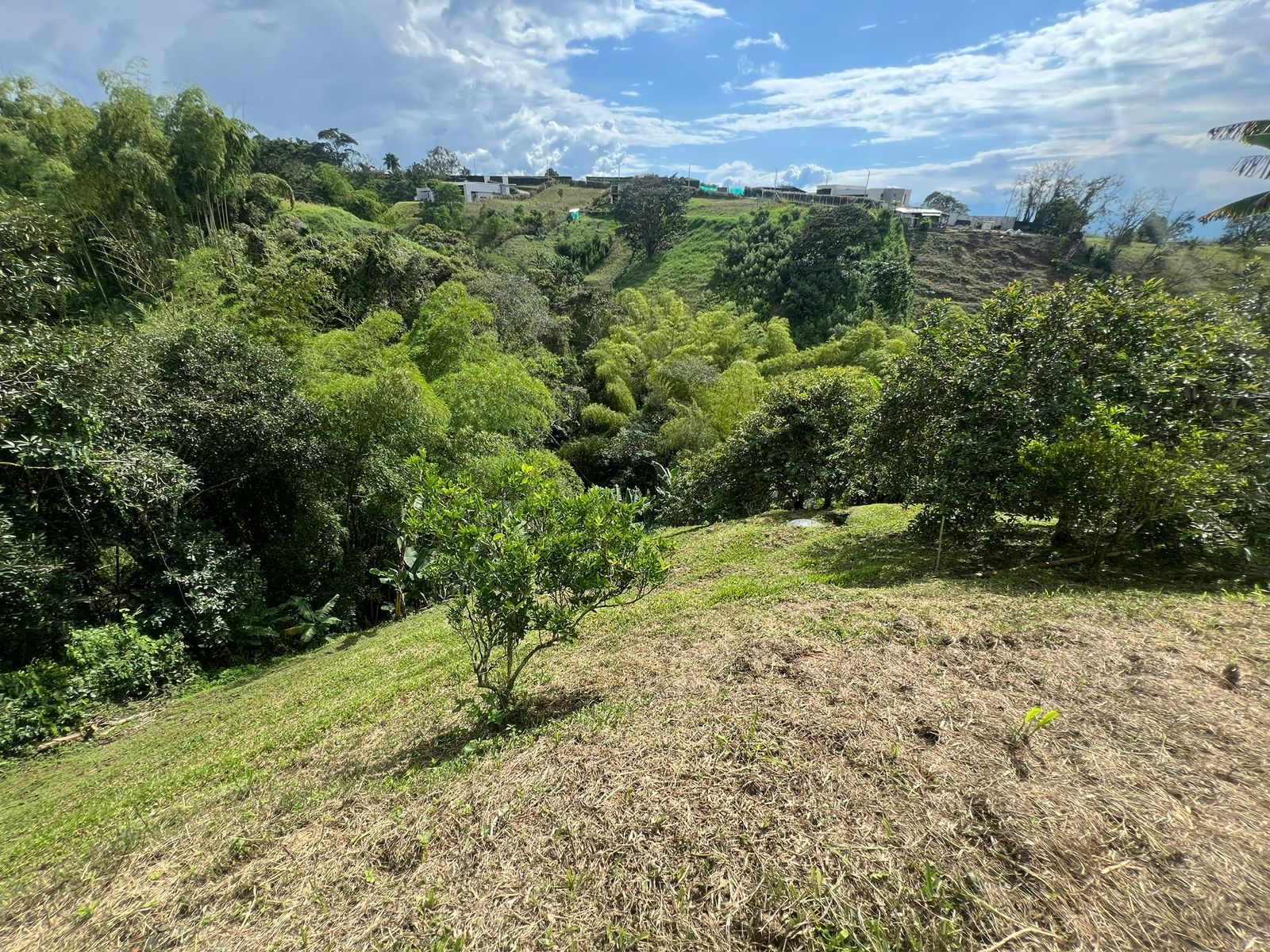 Casa en venta en Tribunas Corcega, Pereira · foto 3 de 14
