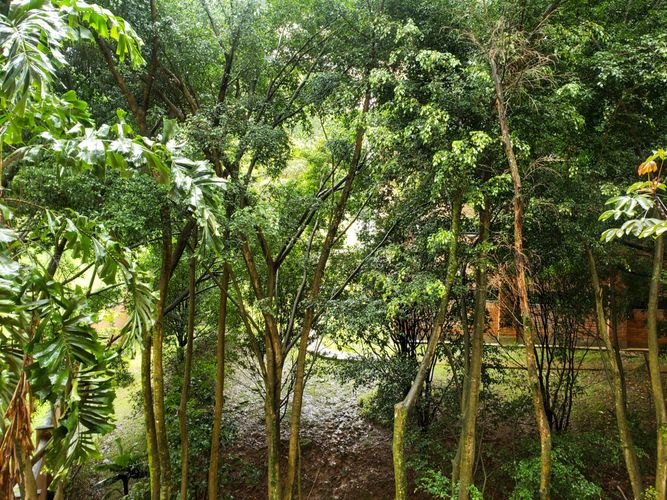 Apartamento de 3 alcobas en arriendo en Los Balsos, Medellín, 255 m² · foto 11 de 20