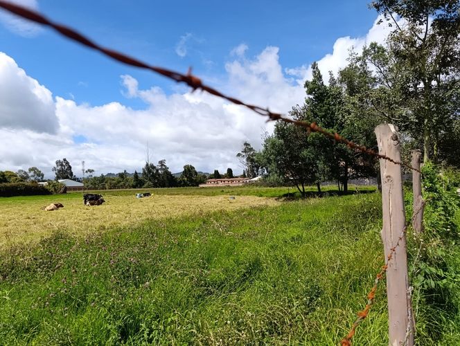 Lote en venta en El Misterio, Cajicá, 4000 m² · foto 3 de 21