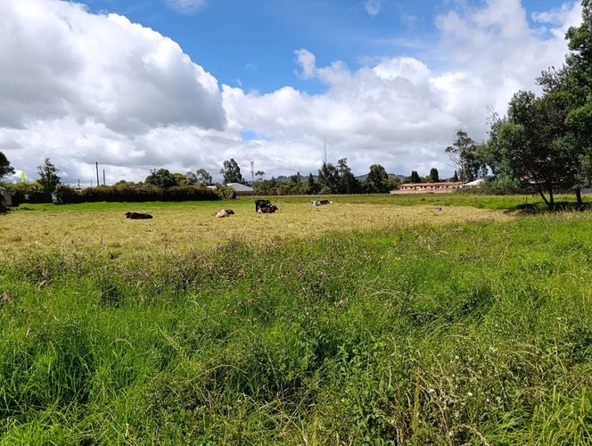 Lote en venta en El Misterio, Cajicá, 4000 m² · foto 21 de 21