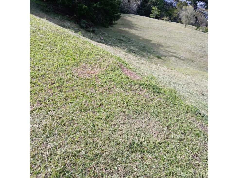 Lote en venta en Medellín 3