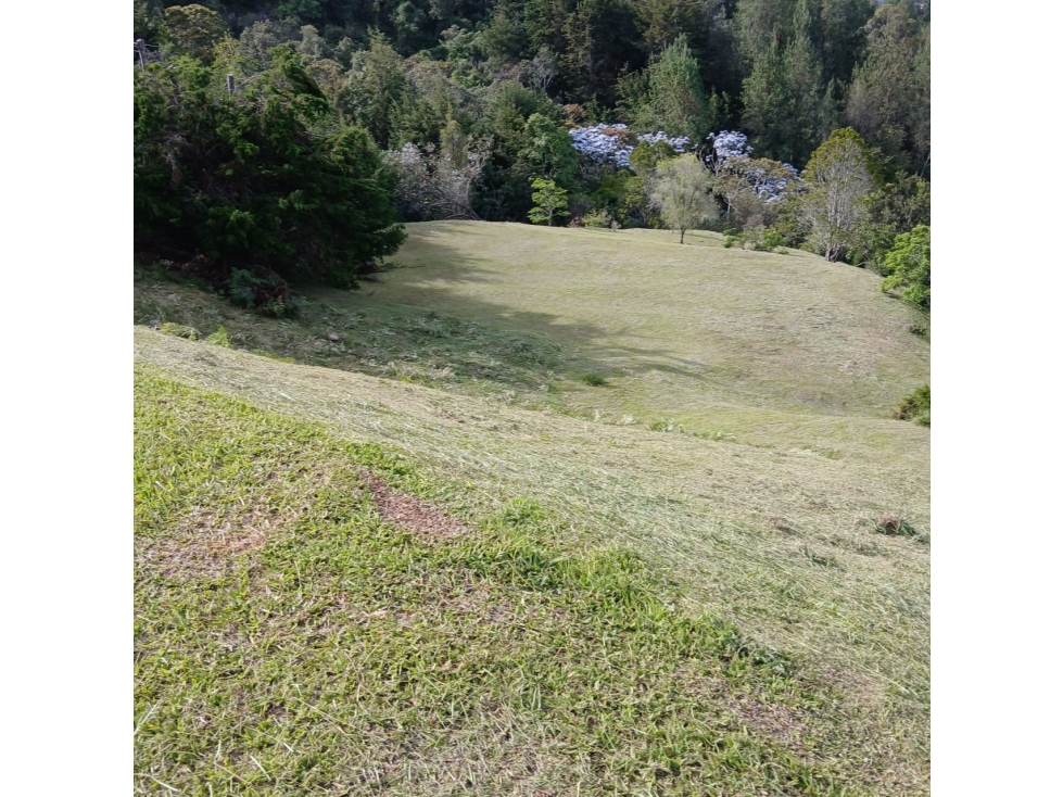 Lote en venta en Medellín 5