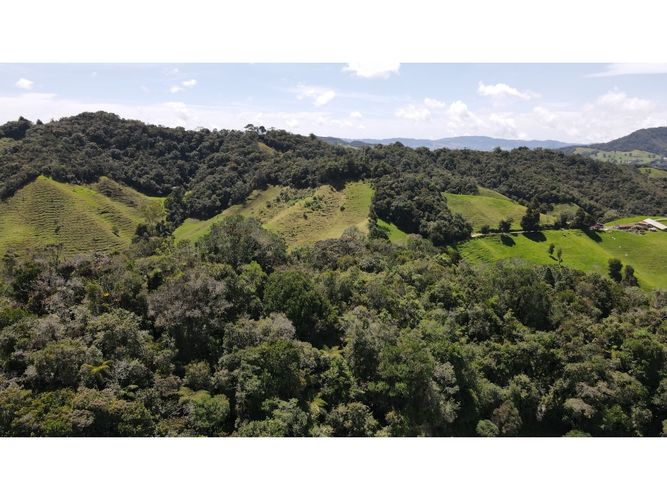 Lote en venta en Llanadas, La Ceja, 1500 m² · foto 3 de 10