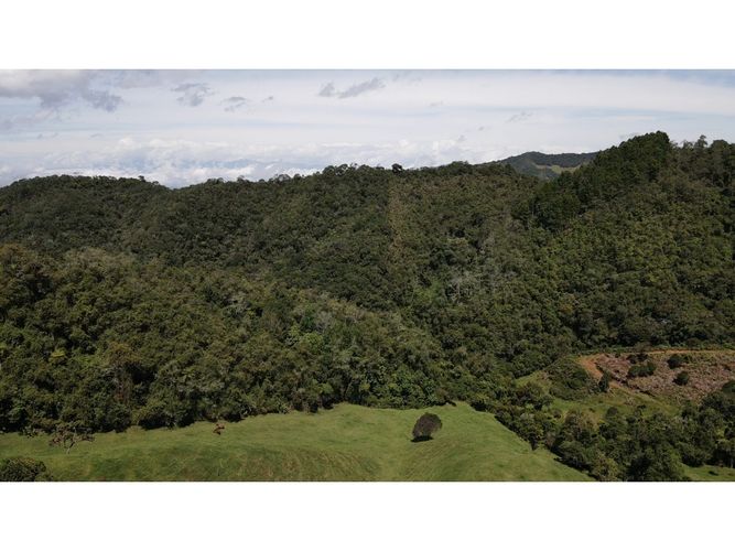 Lote en venta en Llanadas, La Ceja, 1500 m² · foto 9 de 10