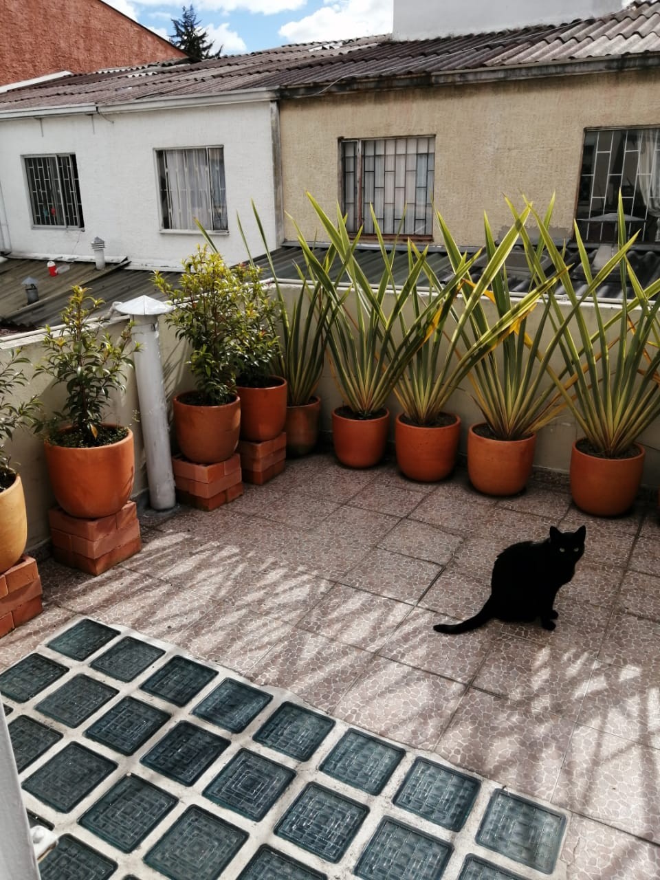 Casa en venta en Villa Del Prado, Bogotá · foto 5 de 11