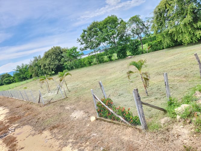 Lote en venta en Limoncitos, Ricaurte, 2000 m² · foto 4 de 6