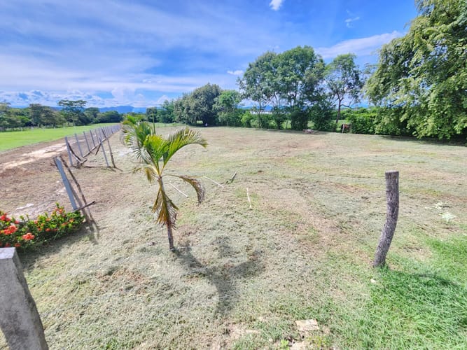 Lote en venta en Limoncitos, Ricaurte, 2000 m² · foto 5 de 6