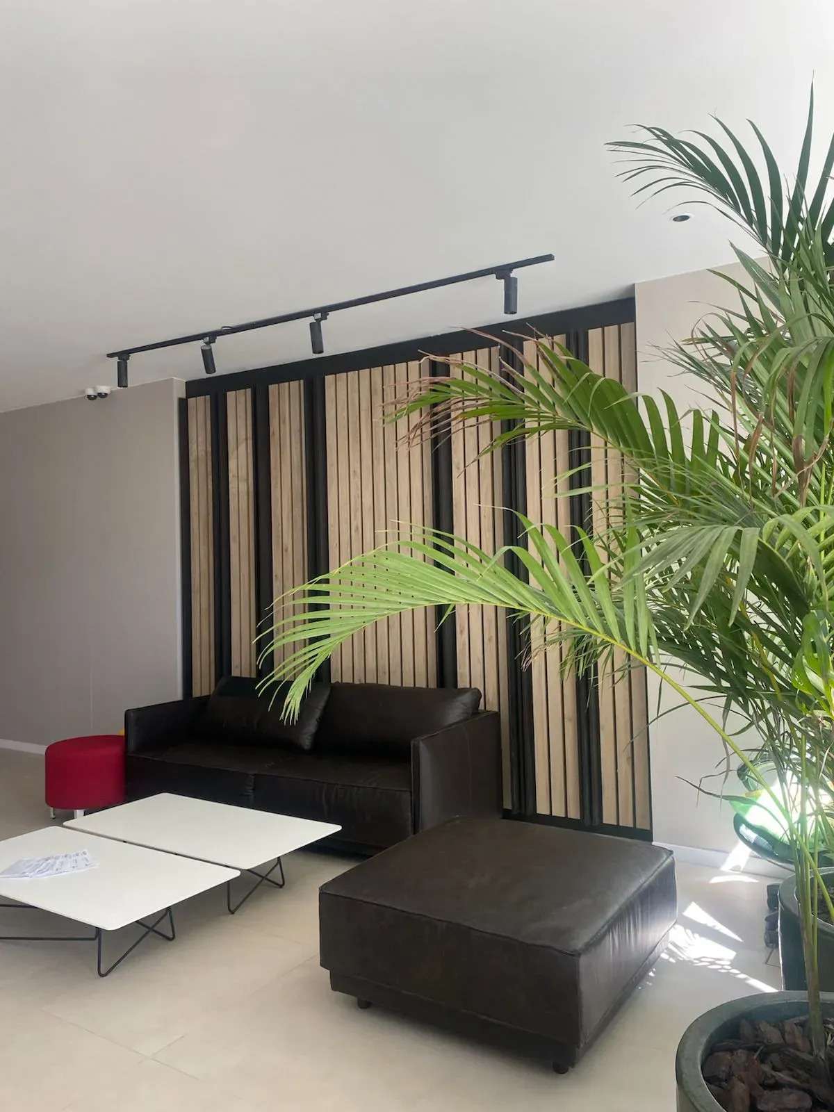 Alquiler Monoambiente Con Amplio Balcón En Cordón