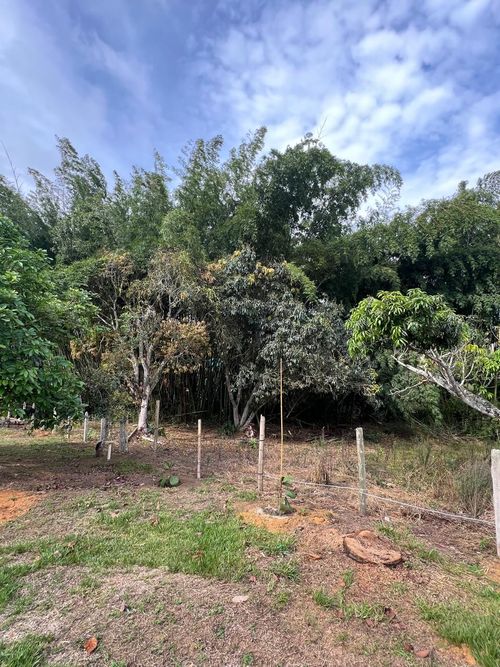 Lote en venta en Ruitoque, Piedecuesta, 1315 m² · foto 4 de 22