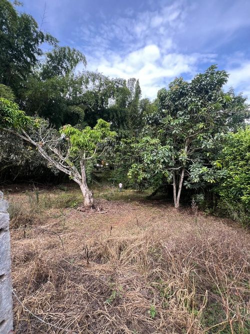 Lote en venta en Ruitoque, Piedecuesta, 1315 m² · foto 15 de 22