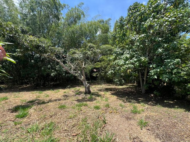 Lote en venta en Ruitoque, Piedecuesta, 1315 m² · foto 14 de 22