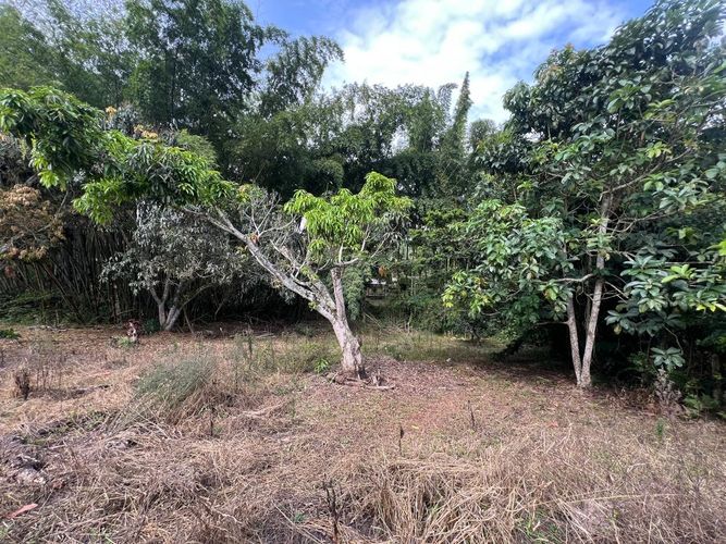 Lote en venta en Ruitoque, Piedecuesta, 1315 m² · foto 17 de 22